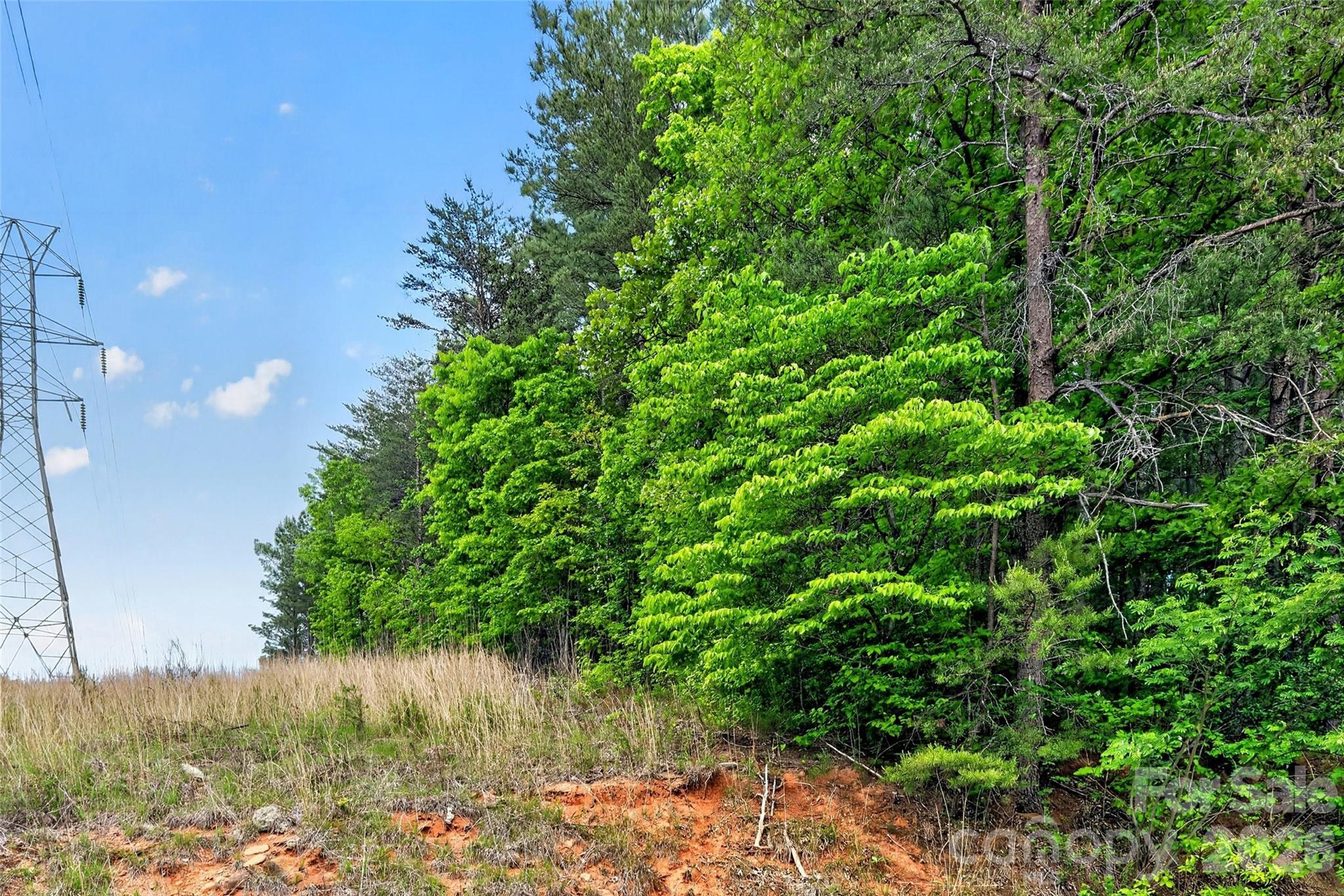 99999 Wright Road Marion NC 28752