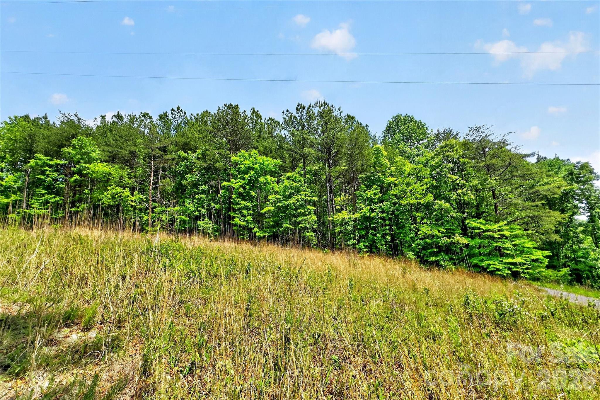 99999 Wright Road Marion NC 28752