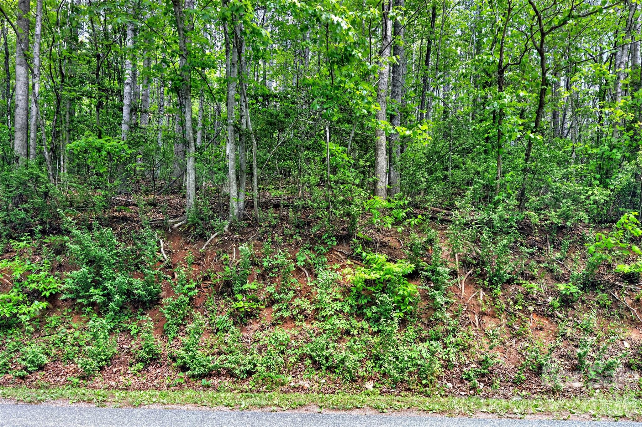 99999 Wright Road Marion NC 28752
