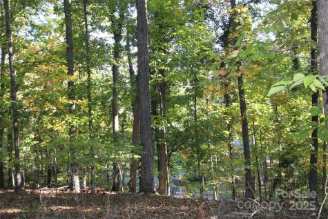 Tbd Lake Head Road Norwood NC 28128