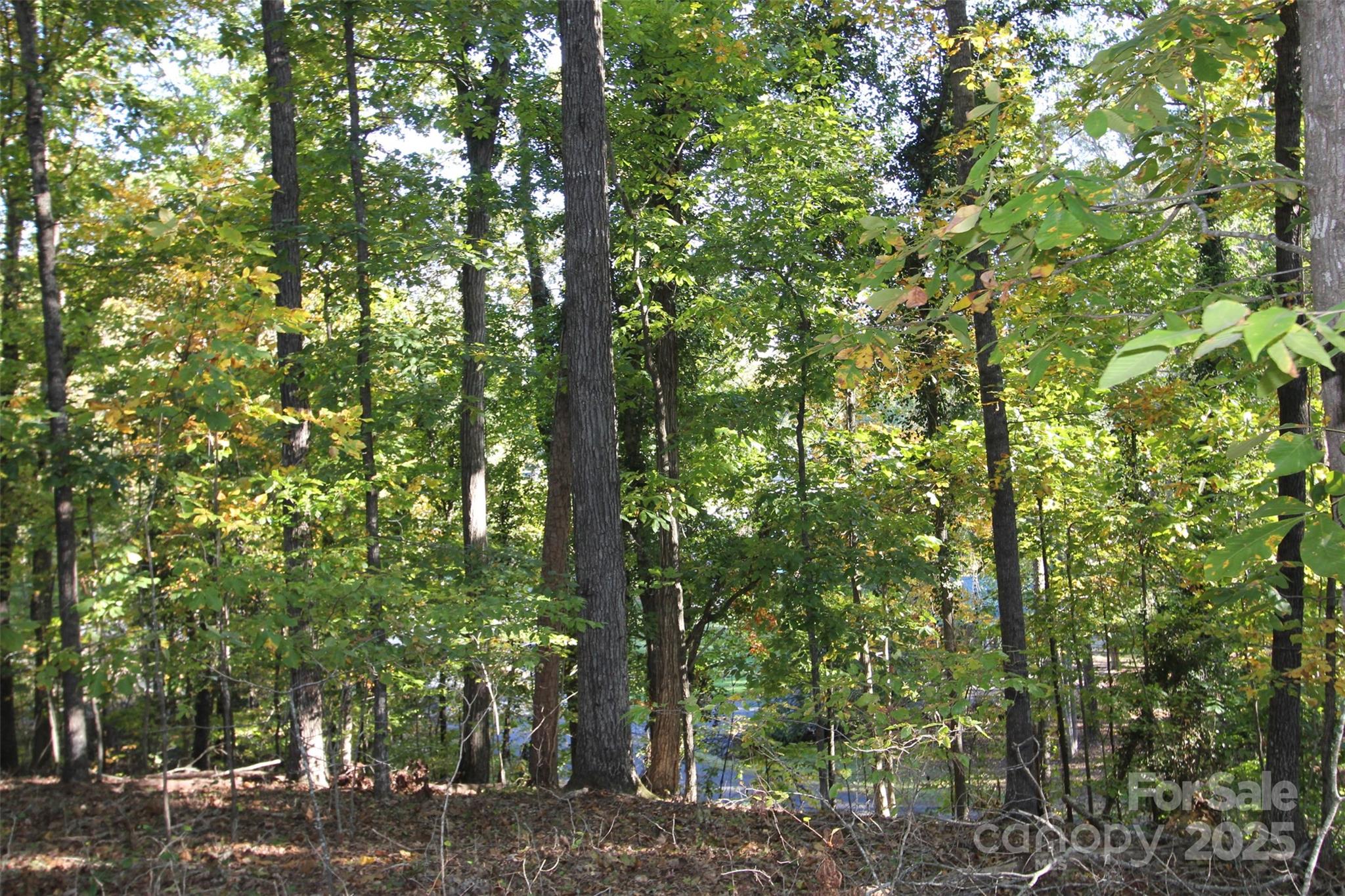 Tbd Lake Head Road Norwood NC 28128