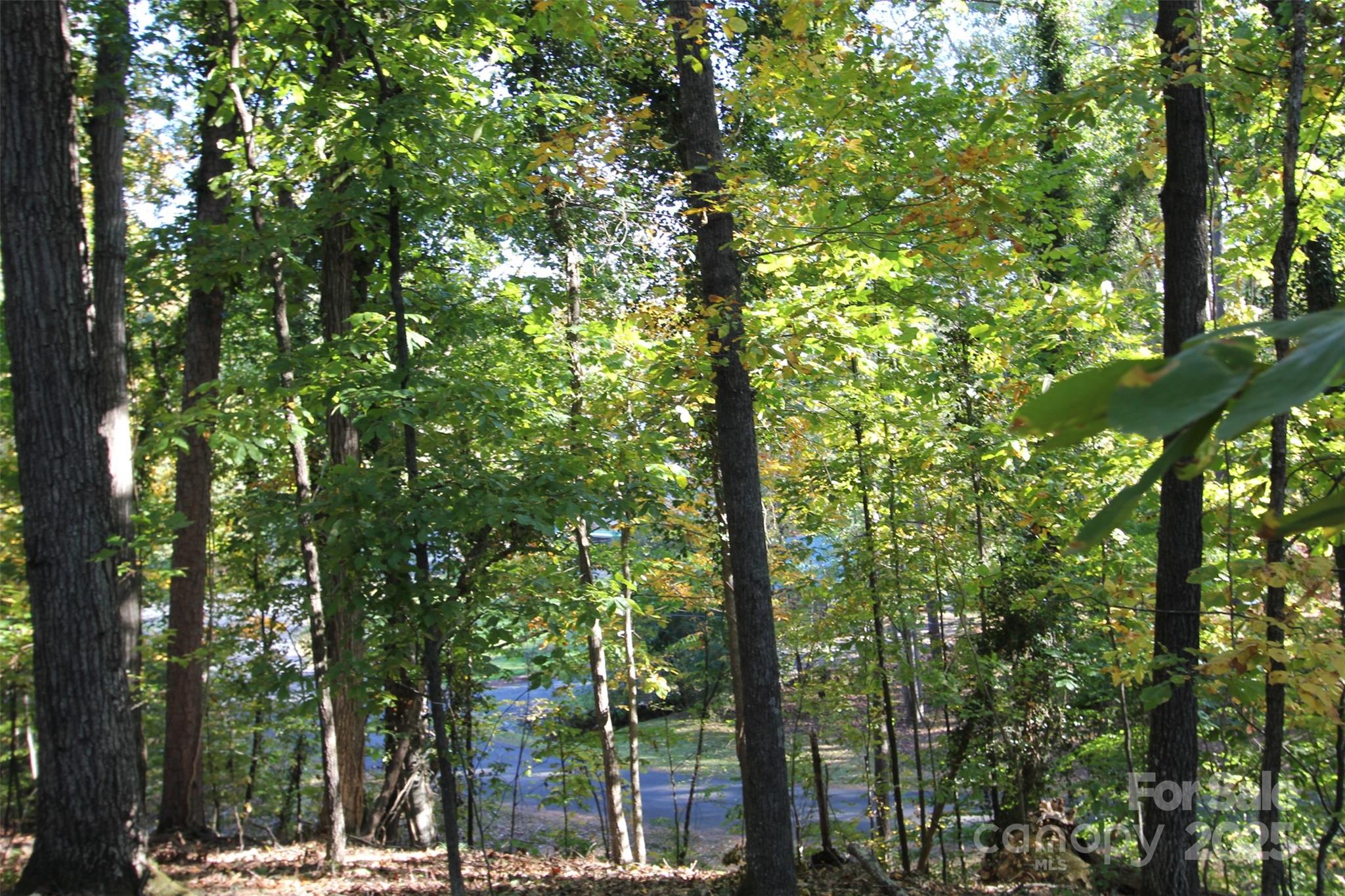 Tbd Lake Head Road Norwood NC 28128