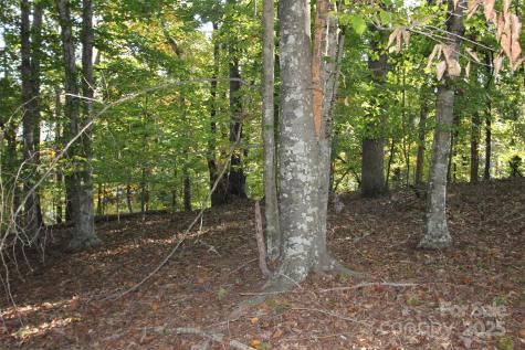 Tbd Lake Head Road Norwood NC 28128