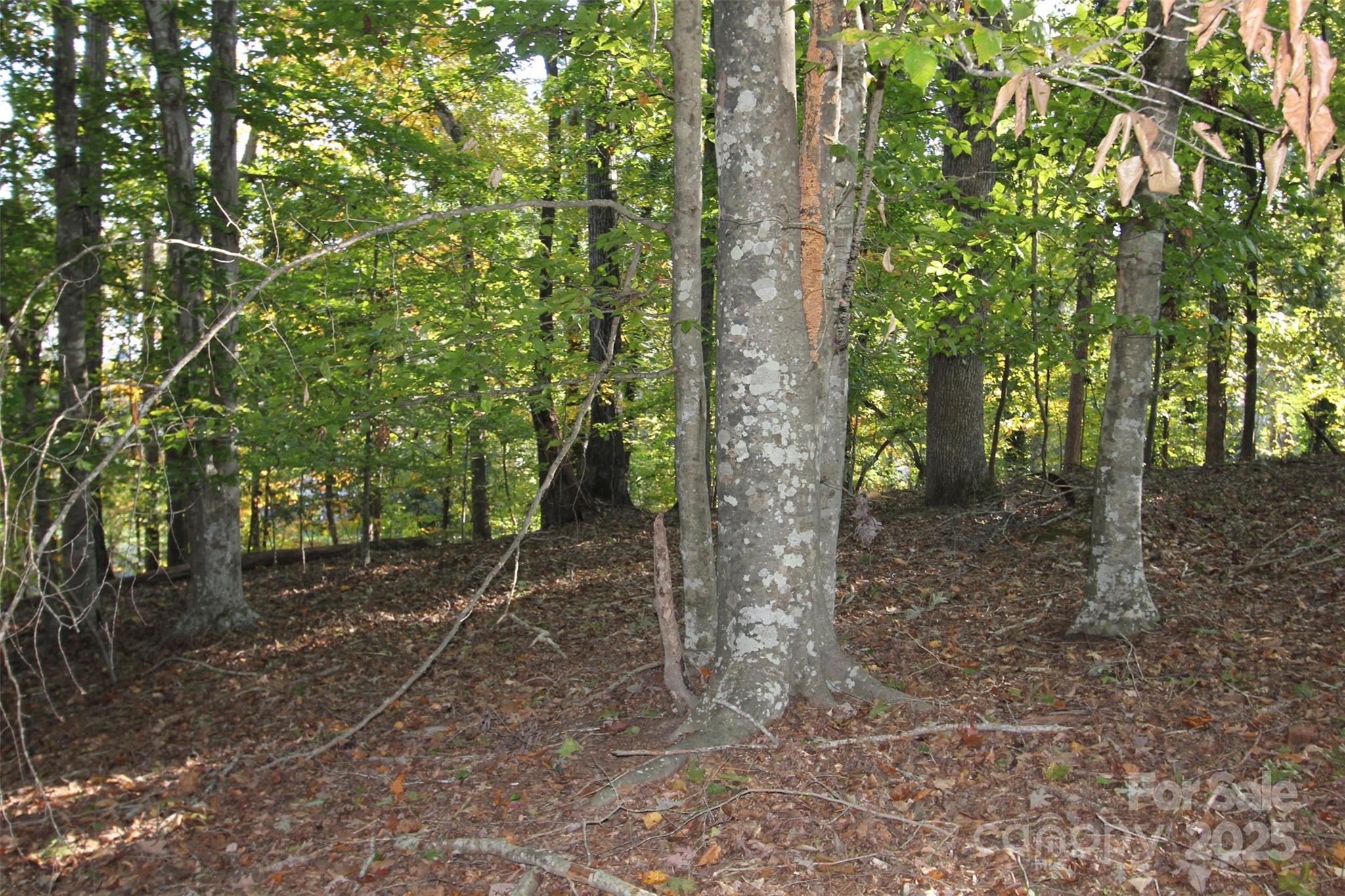Tbd Lake Head Road Norwood NC 28128