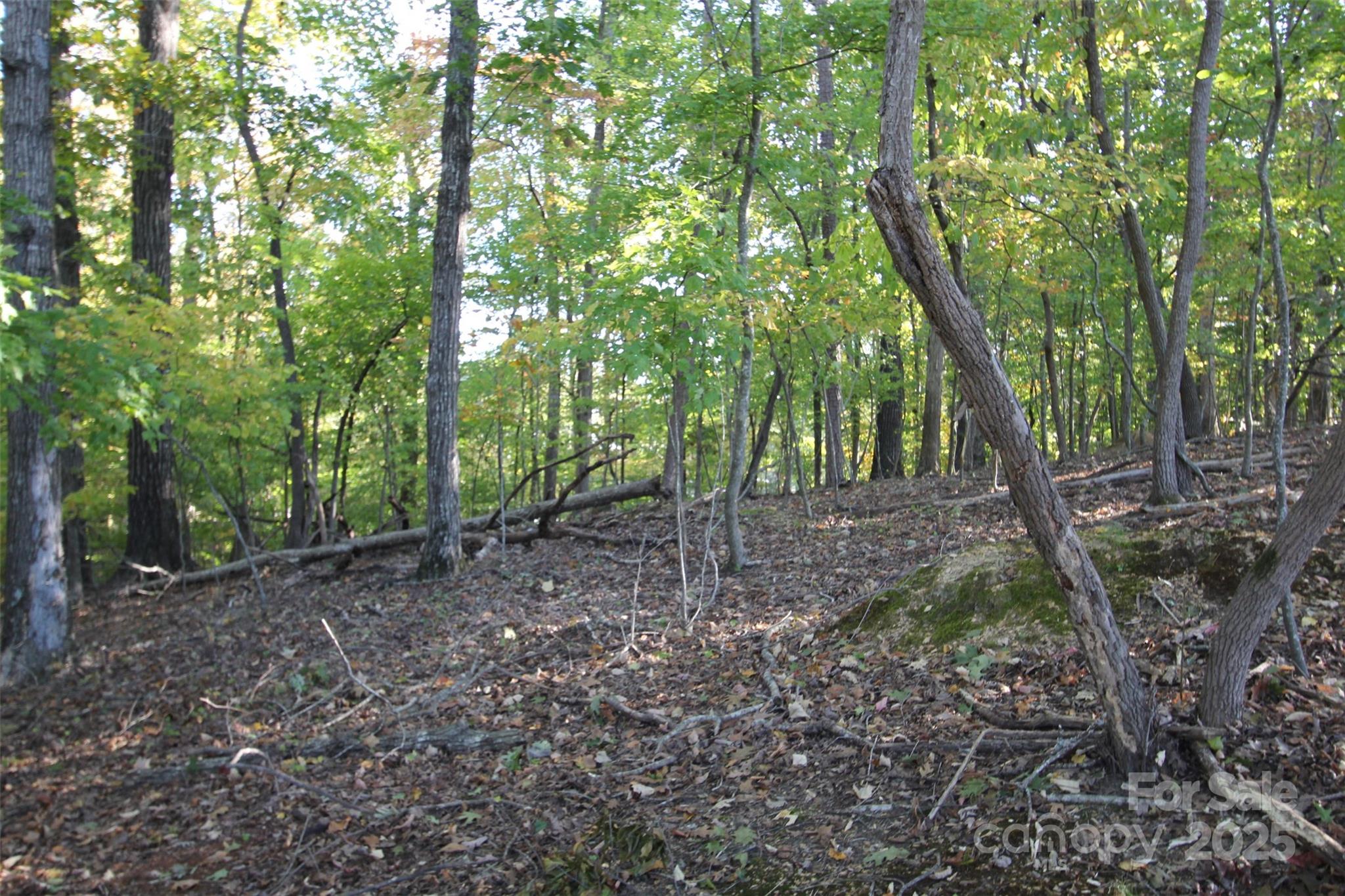Tbd Lake Head Road Norwood NC 28128
