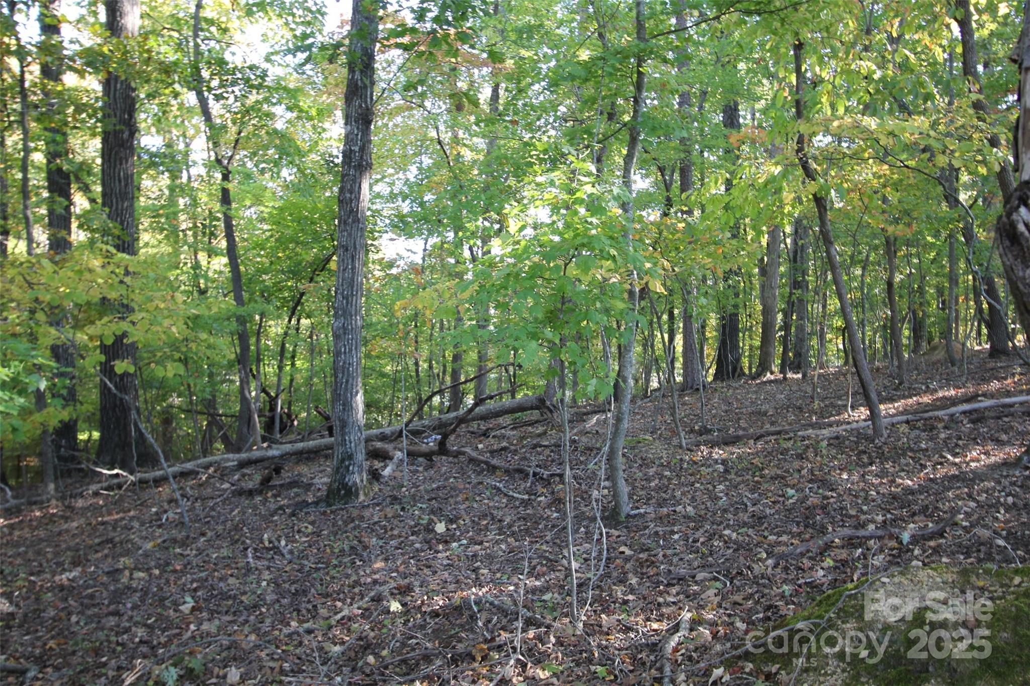Tbd Lake Head Road Norwood NC 28128