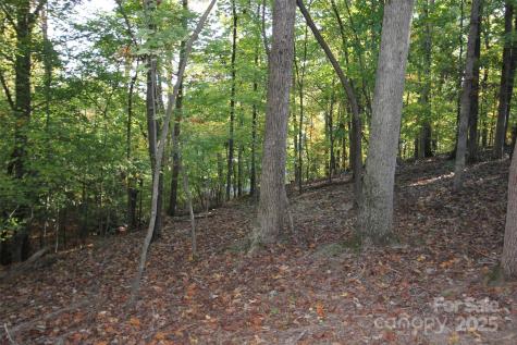 Tbd Lake Head Road Norwood NC 28128