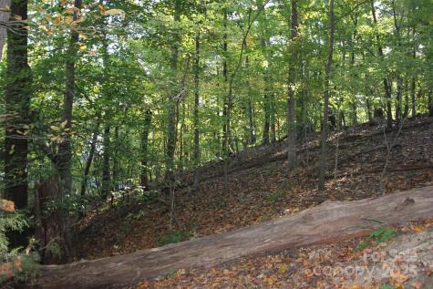 Tbd Lake Head Road Norwood NC 28128