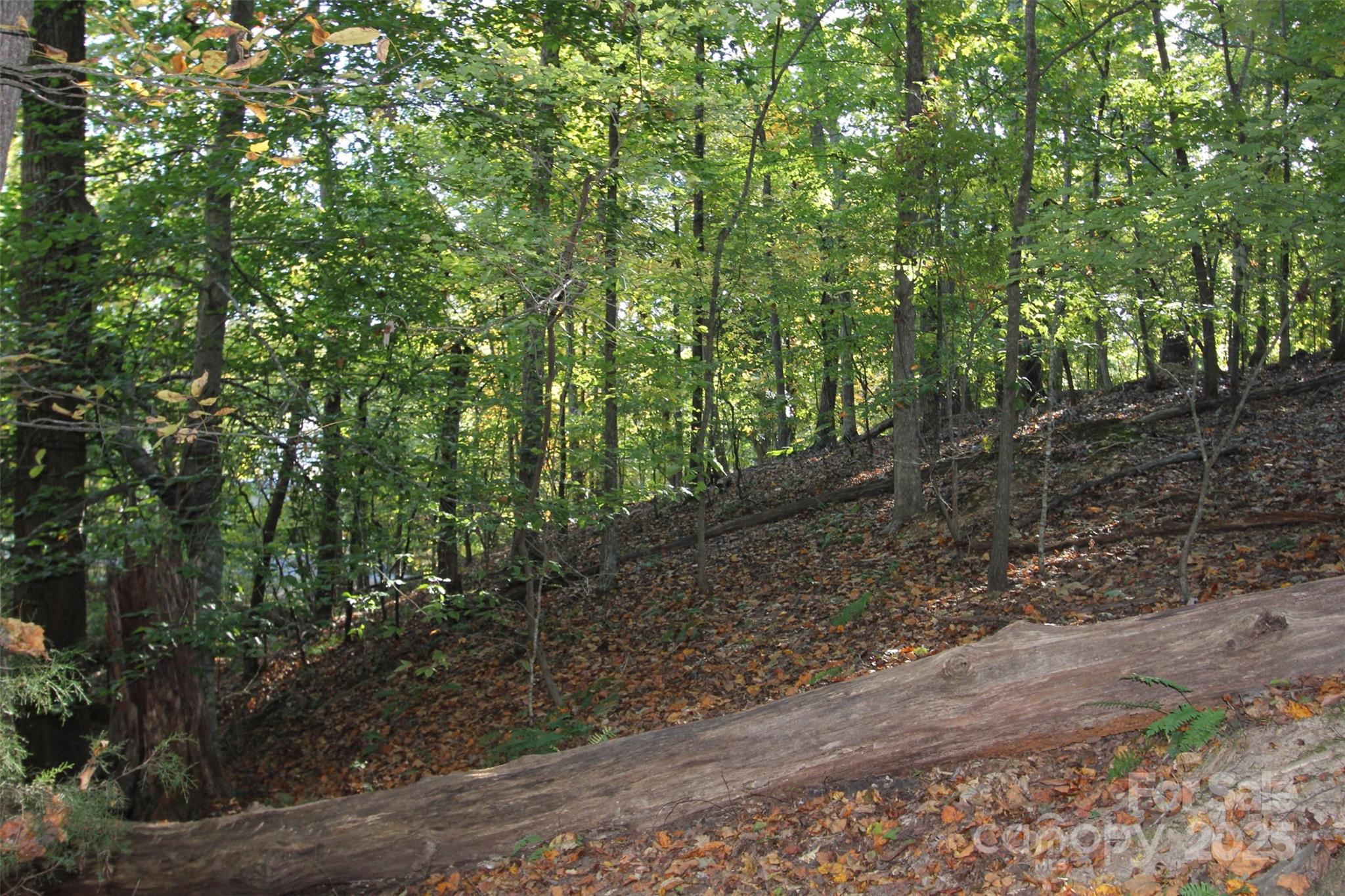 Tbd Lake Head Road Norwood NC 28128
