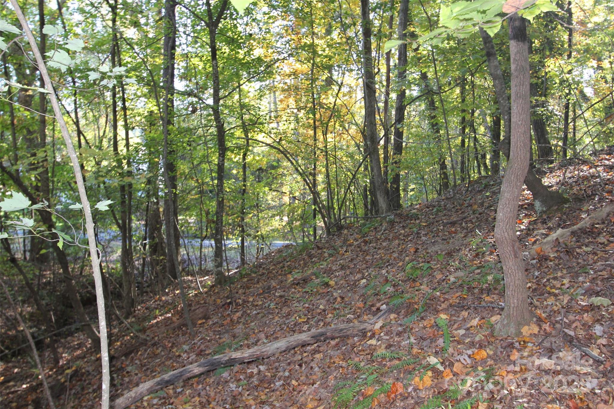 Tbd Lake Head Road Norwood NC 28128