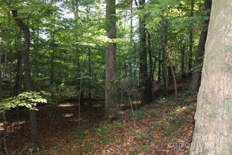 Tbd Lake Head Road Norwood NC 28128