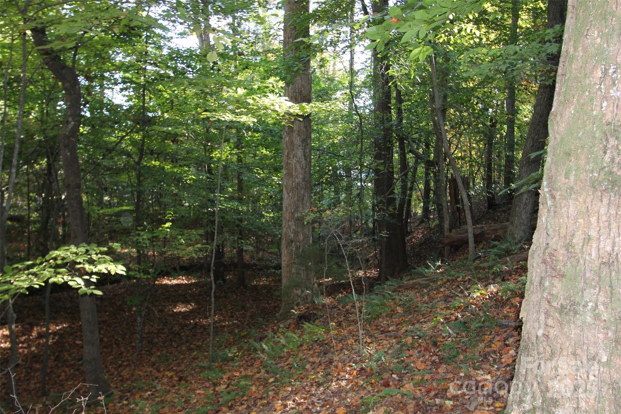 Tbd Lake Head Road Norwood NC 28128