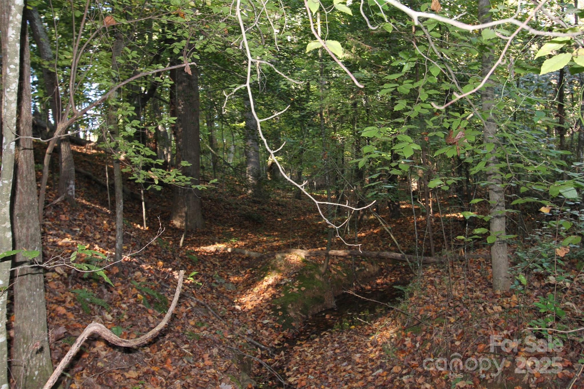 Tbd Lake Head Road Norwood NC 28128