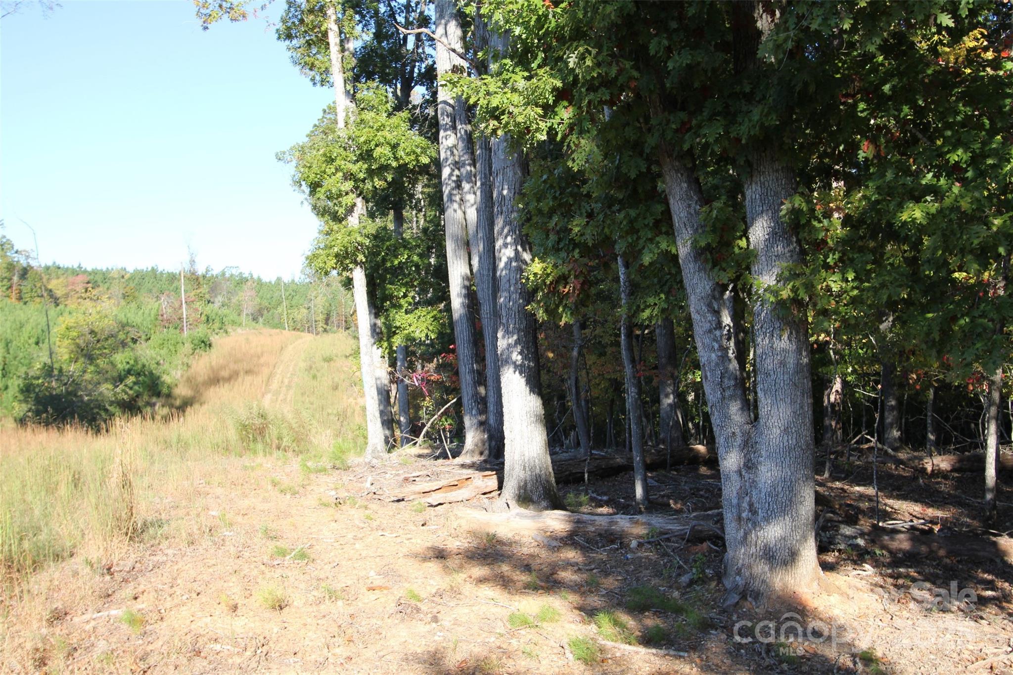 Tbd Lake Head Road Norwood NC 28128