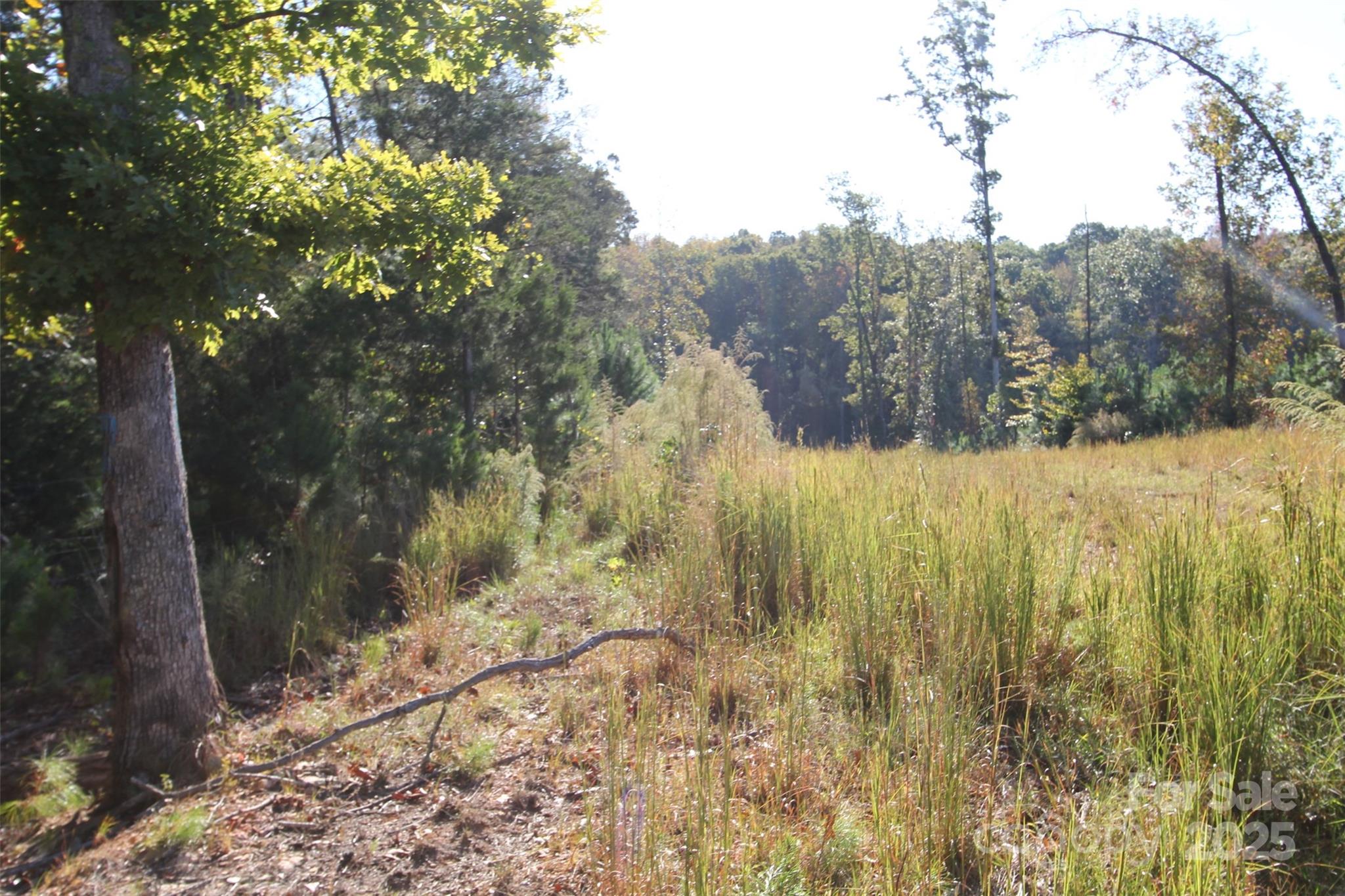 Tbd Lake Head Road Norwood NC 28128