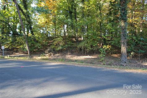 Tbd Lake Head Road Norwood NC 28128
