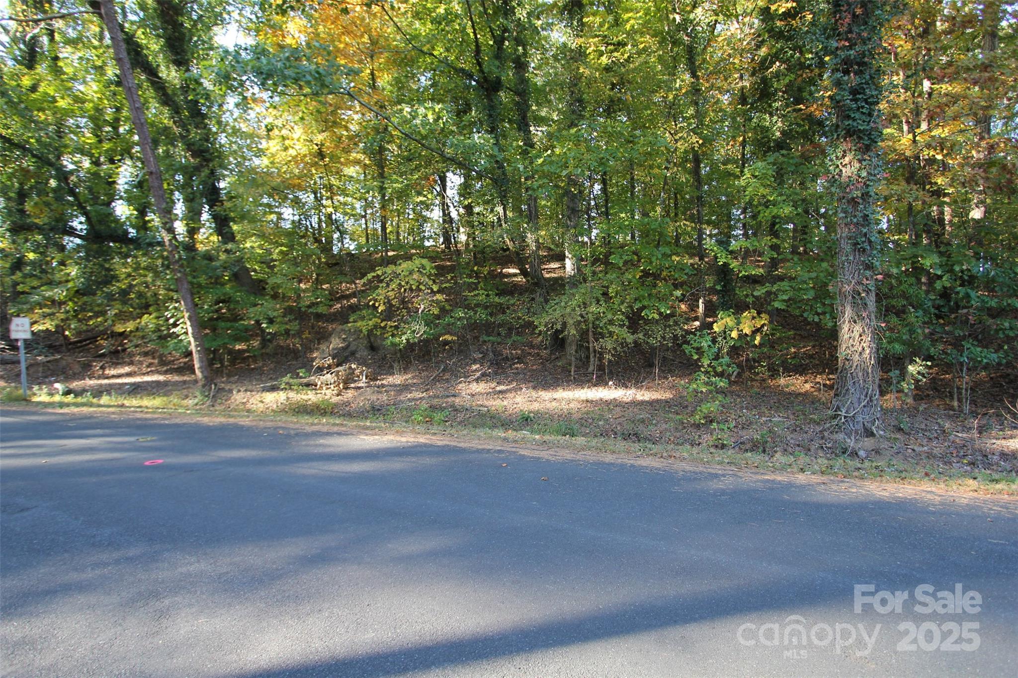 Tbd Lake Head Road Norwood NC 28128