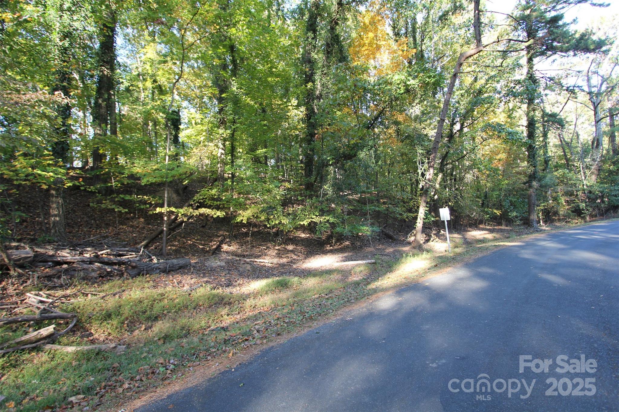 Tbd Lake Head Road Norwood NC 28128