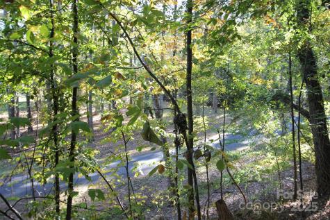 Tbd Lake Head Road Norwood NC 28128