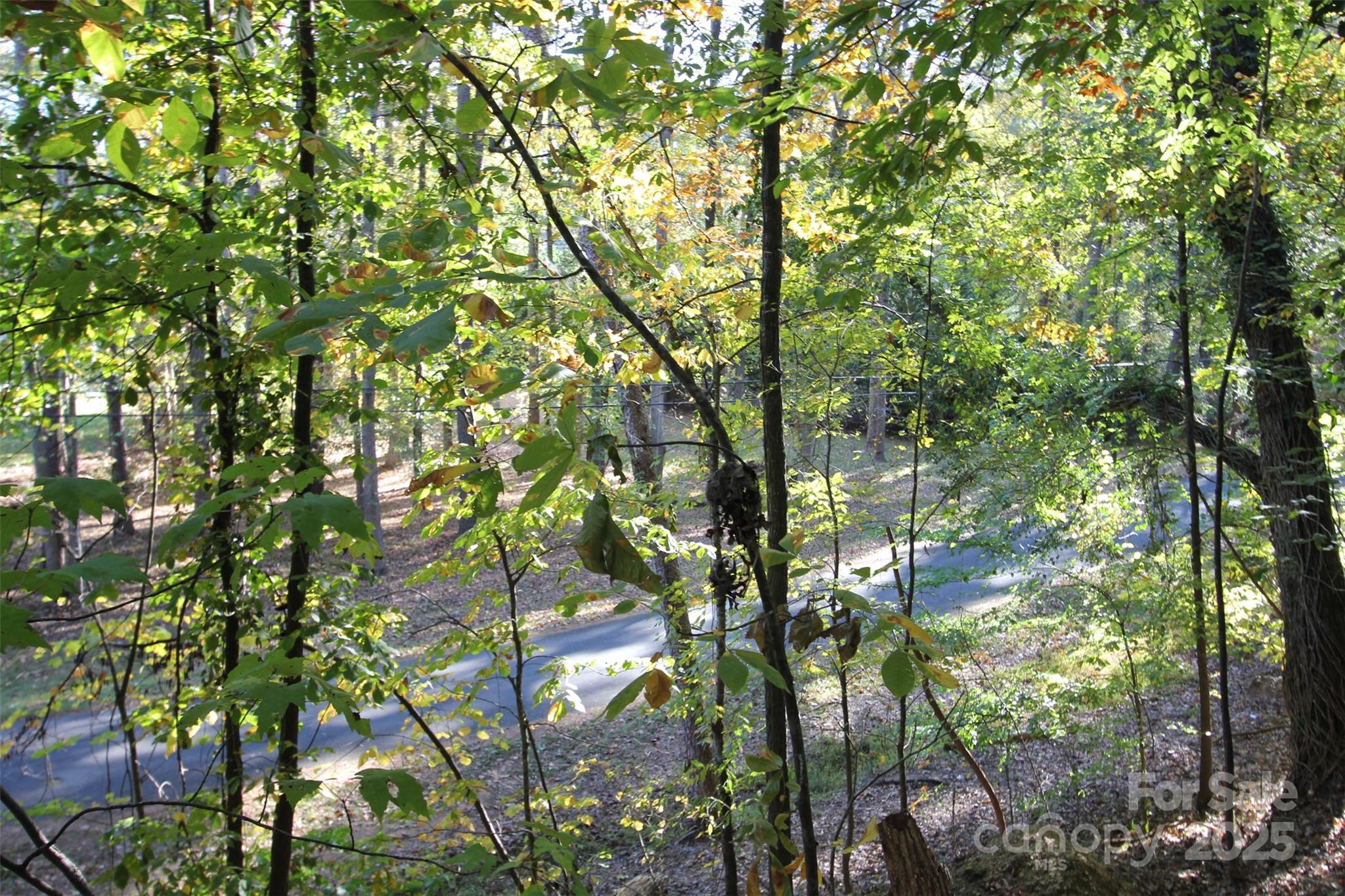 Tbd Lake Head Road Norwood NC 28128