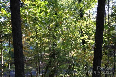 Tbd Lake Head Road Norwood NC 28128