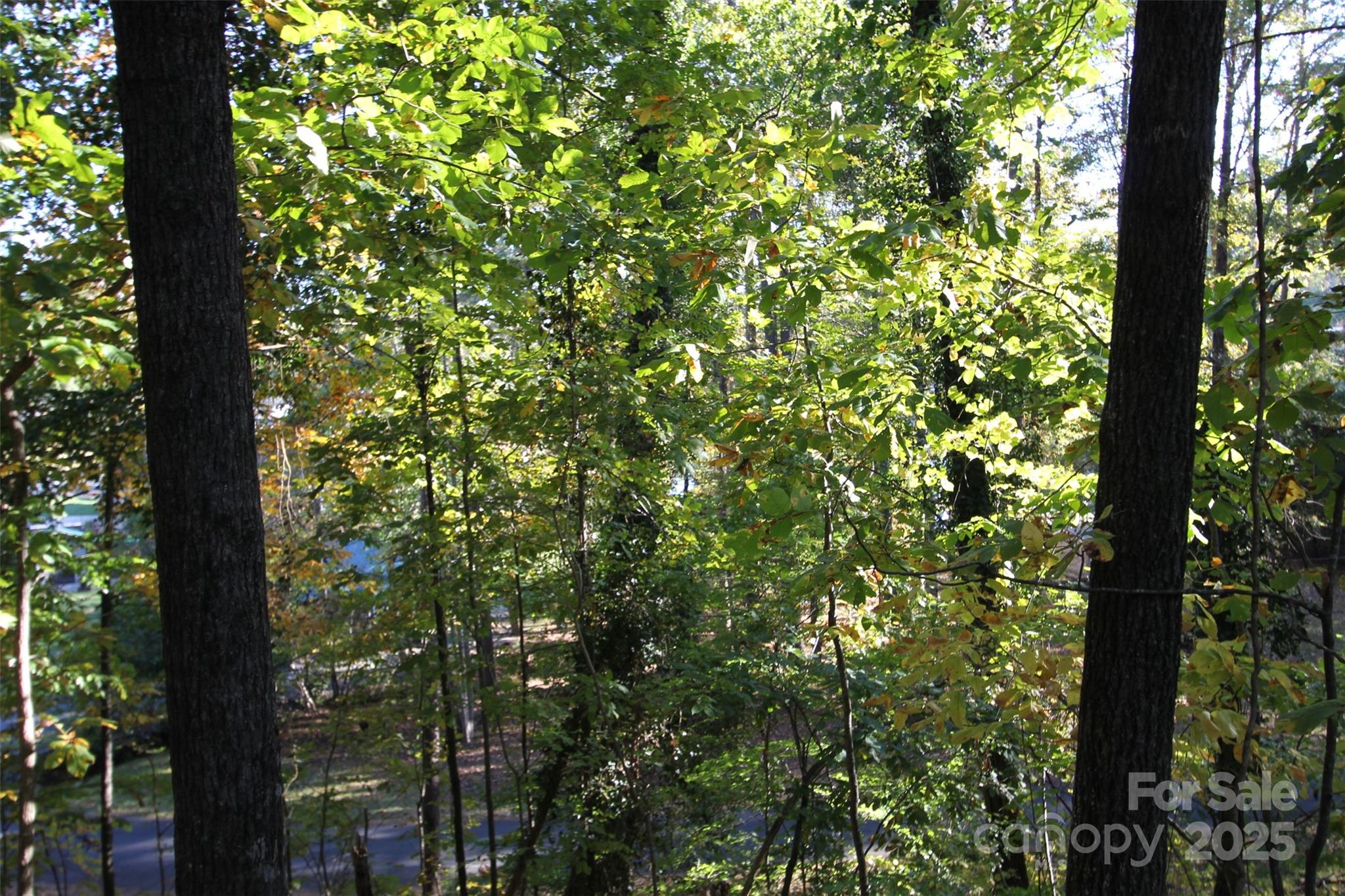 Tbd Lake Head Road Norwood NC 28128