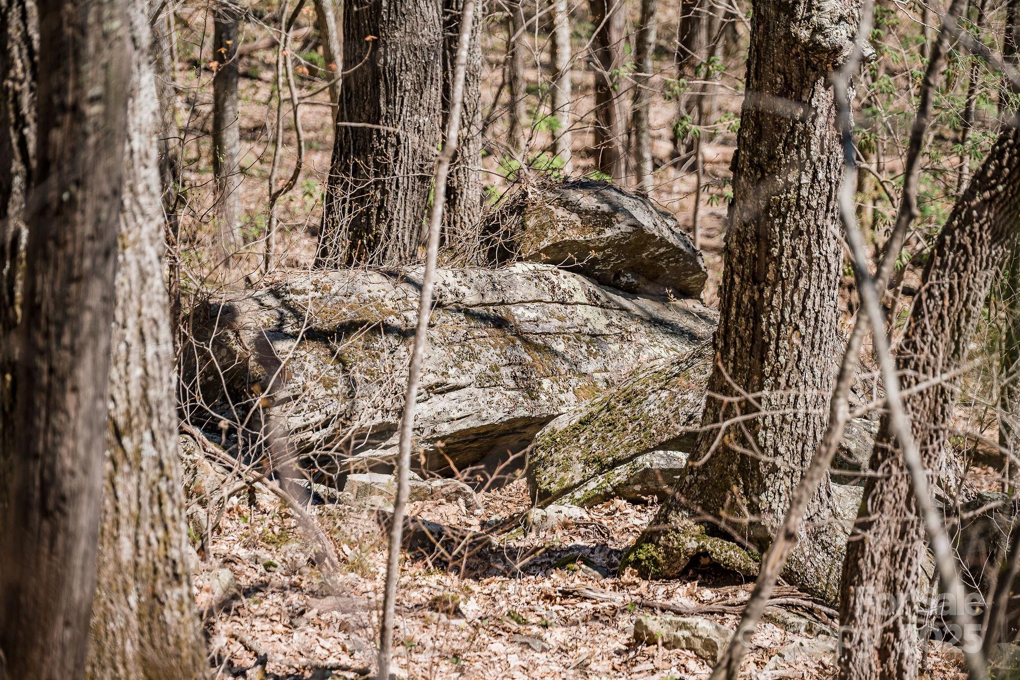 99999 Chestnut Forest Road Fairview NC 28730