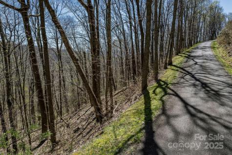99999 Chestnut Forest Road Fairview NC 28730