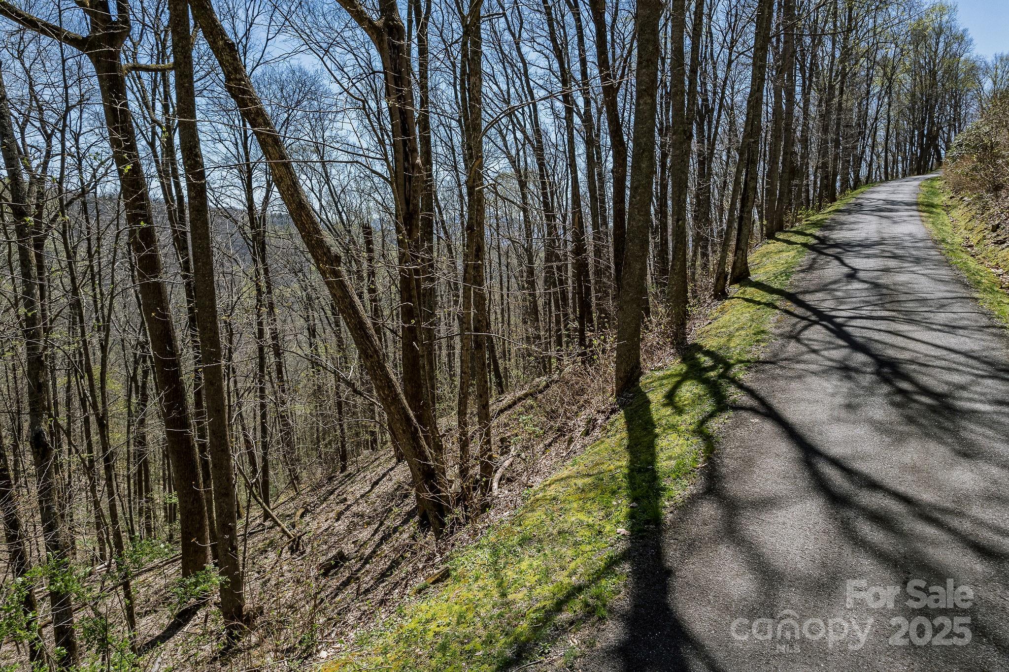 99999 Chestnut Forest Road Fairview NC 28730