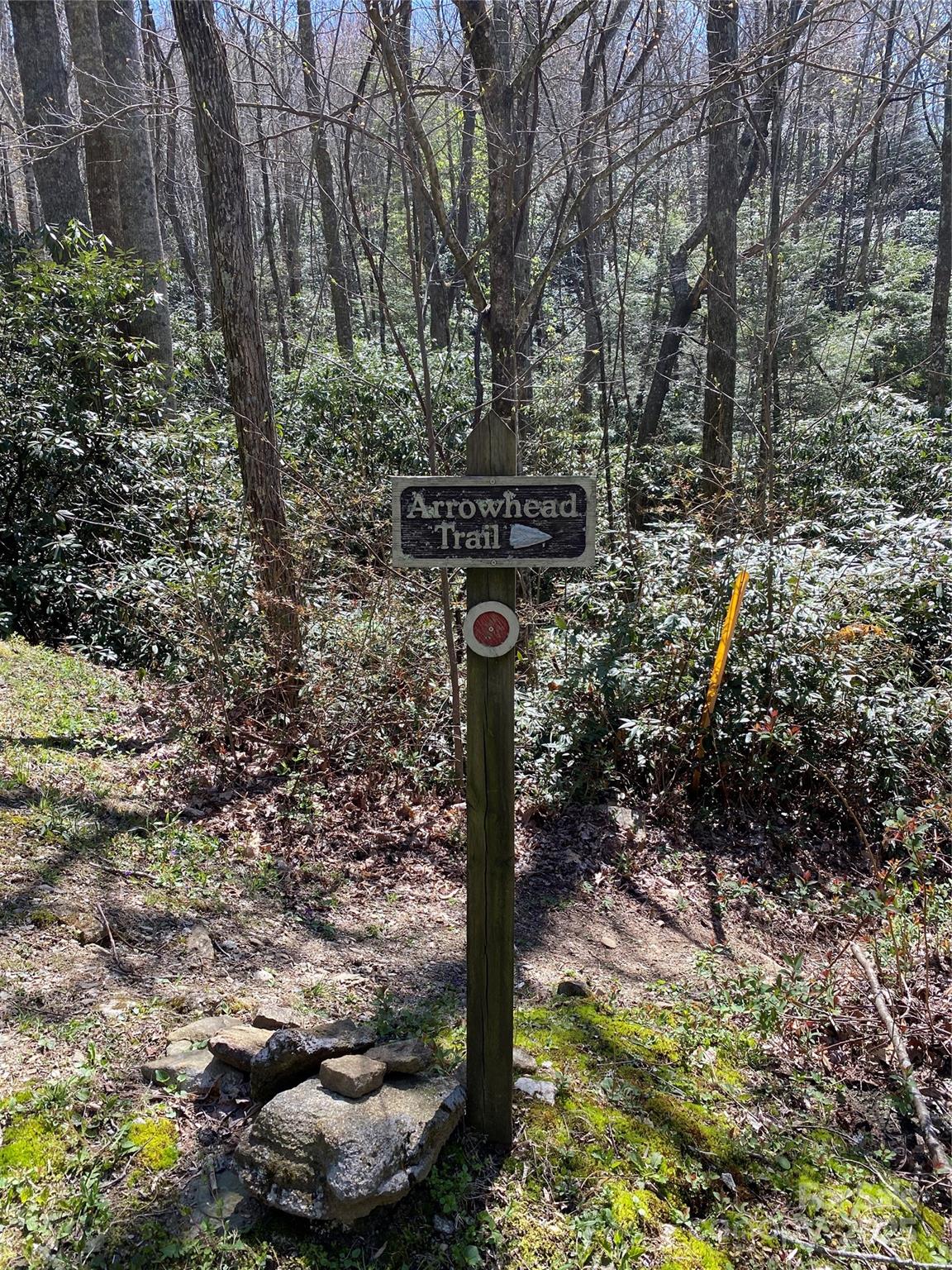 99999 Chestnut Forest Road Fairview NC 28730