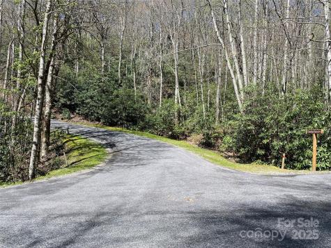 99999 Chestnut Forest Road Fairview NC 28730