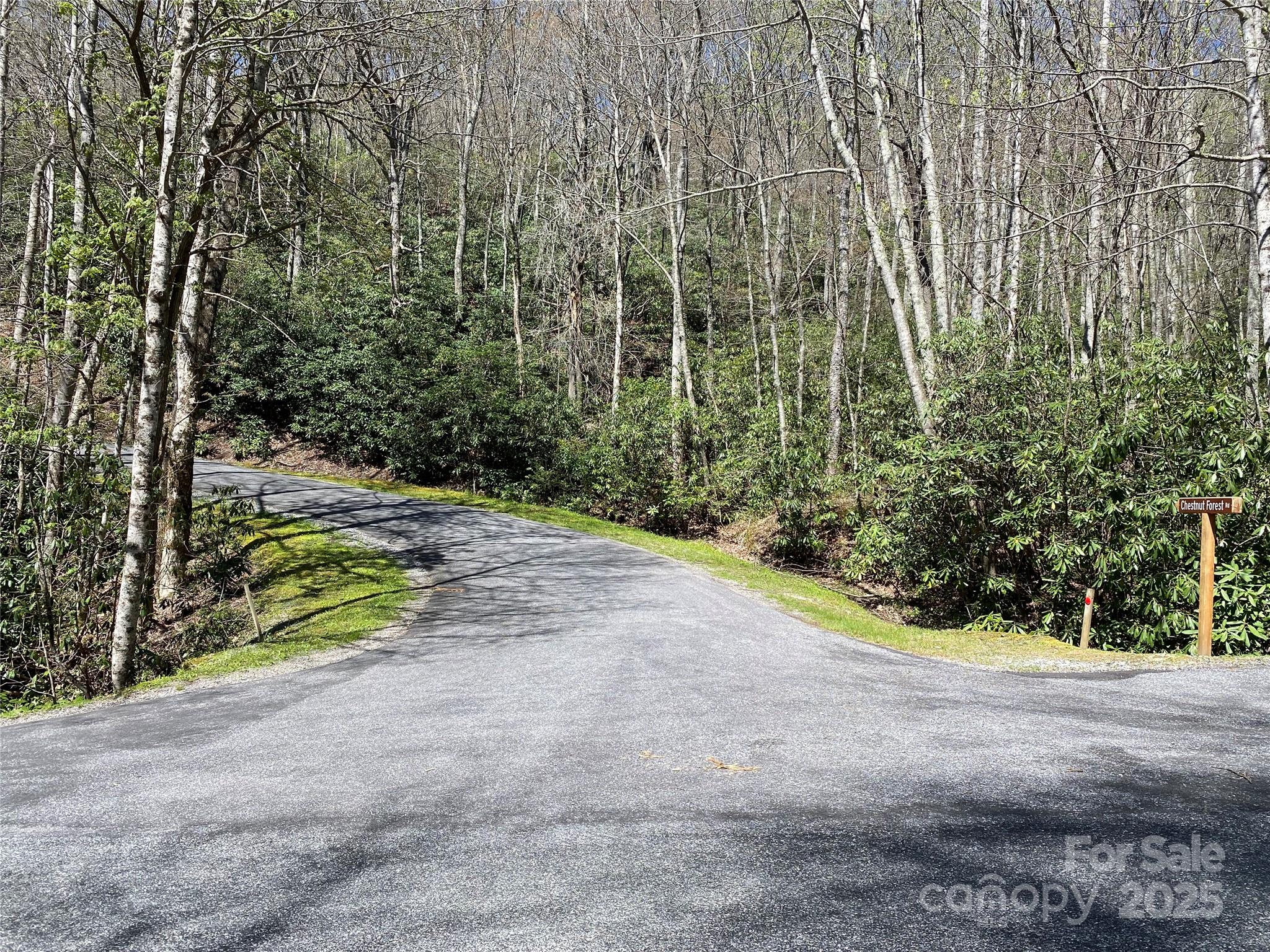 99999 Chestnut Forest Road Fairview NC 28730