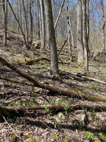 99999 Chestnut Forest Road Fairview NC 28730
