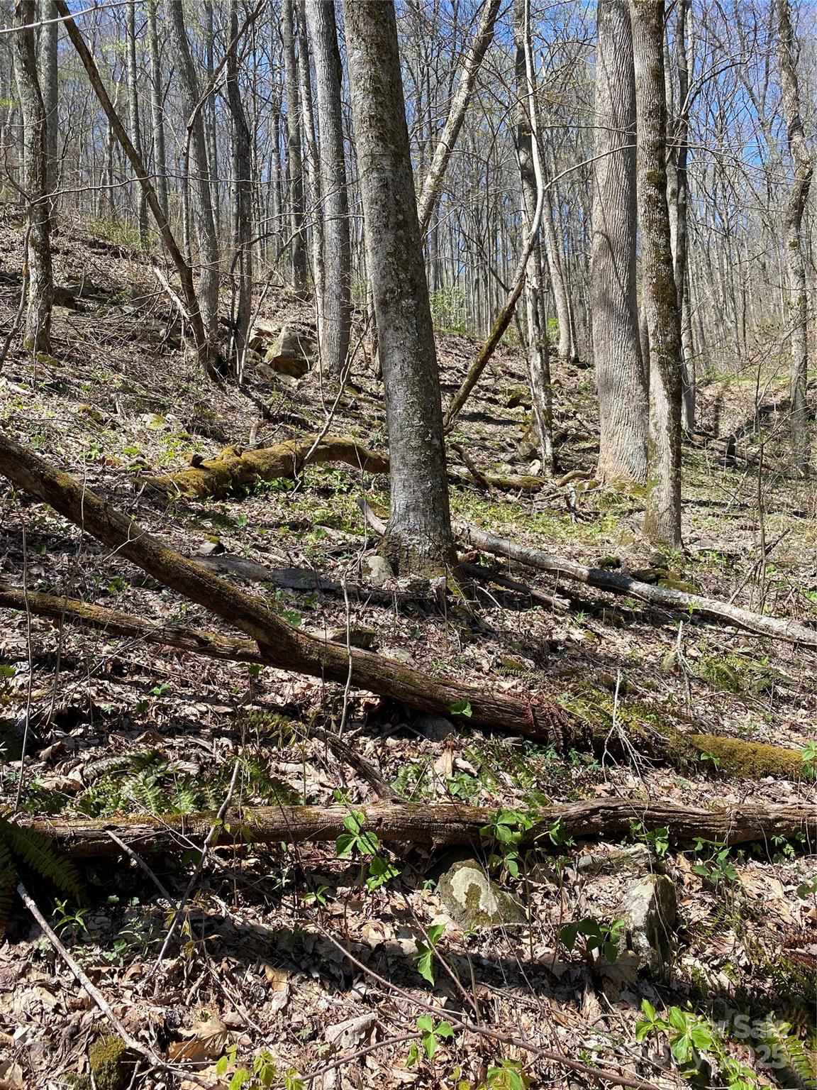 99999 Chestnut Forest Road Fairview NC 28730