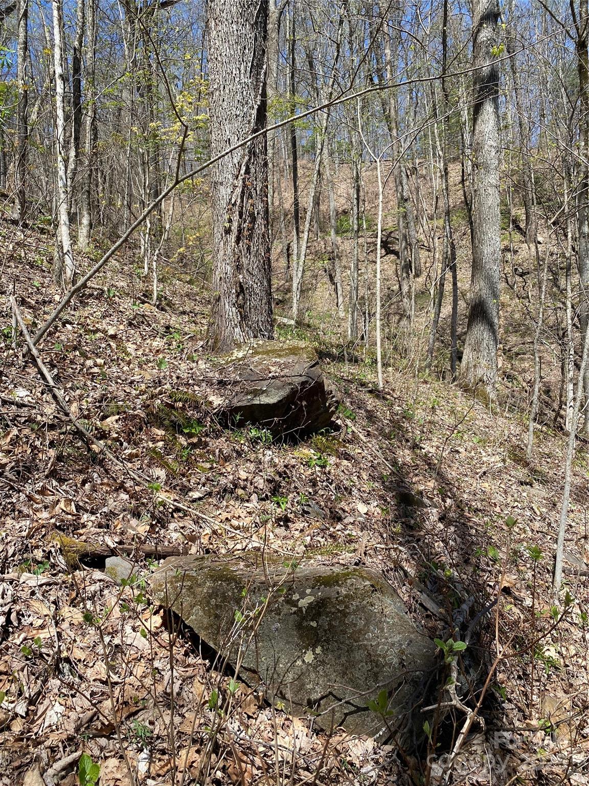 99999 Chestnut Forest Road Fairview NC 28730