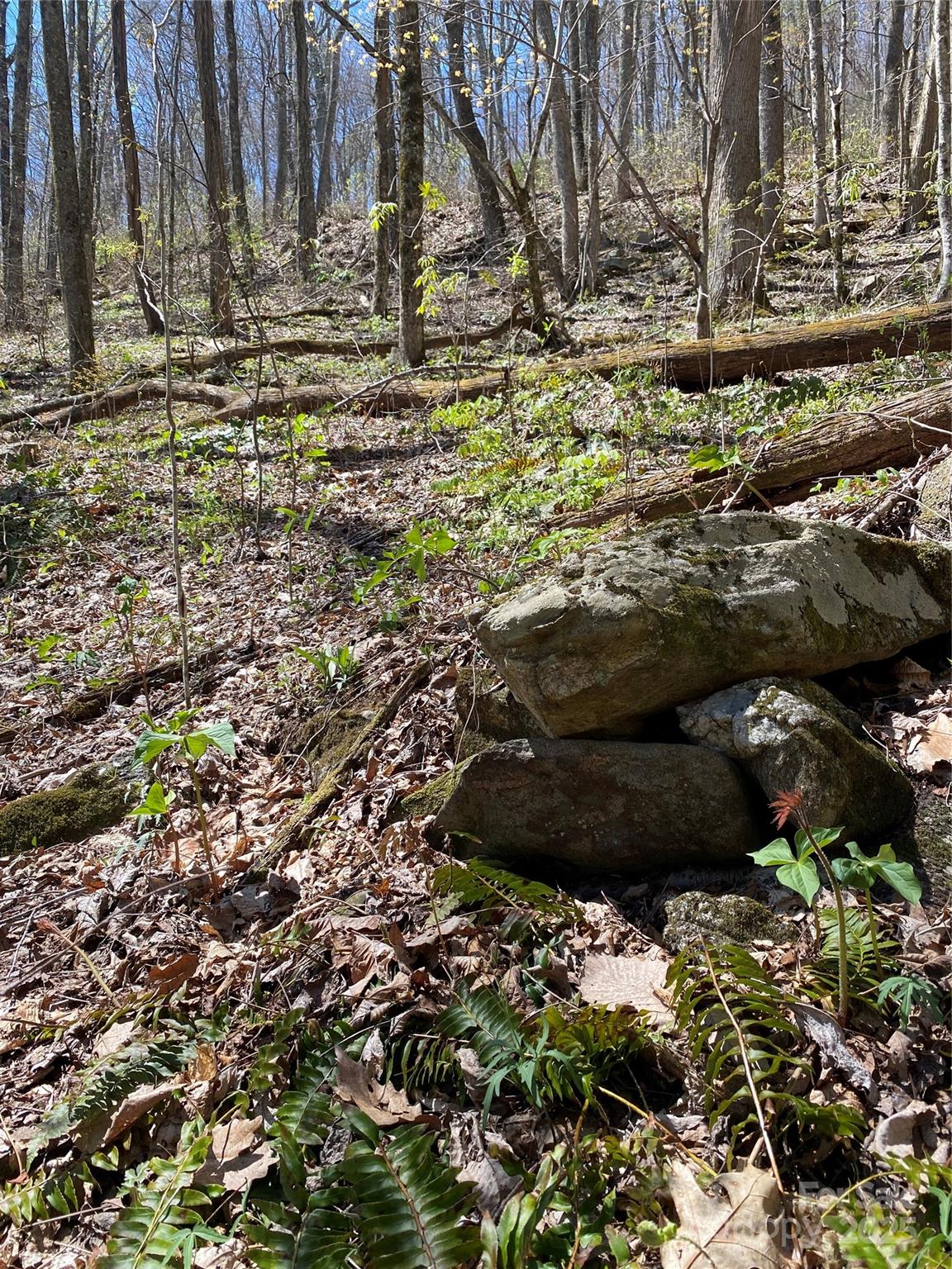 99999 Chestnut Forest Road Fairview NC 28730