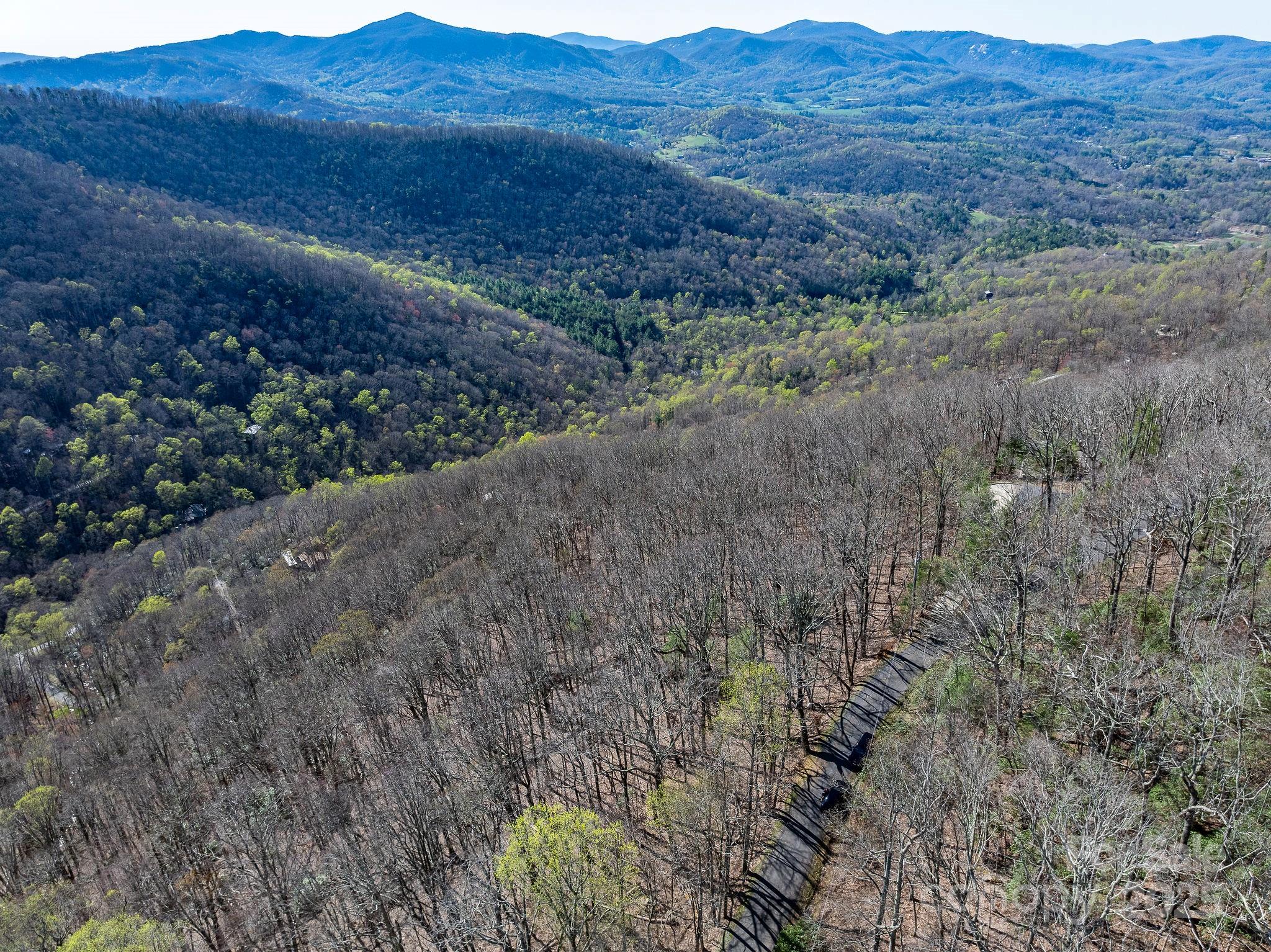 99999 Chestnut Forest Road Fairview NC 28730