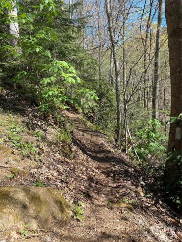 99999 Chestnut Forest Road Fairview NC 28730