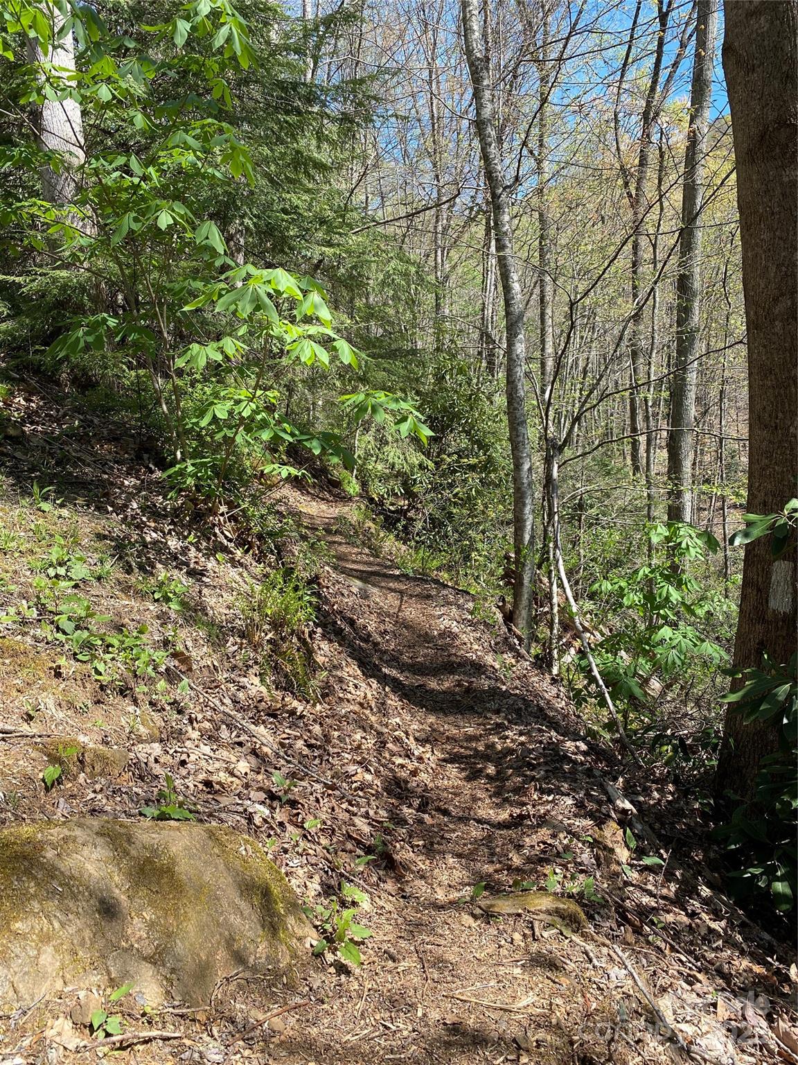 99999 Chestnut Forest Road Fairview NC 28730