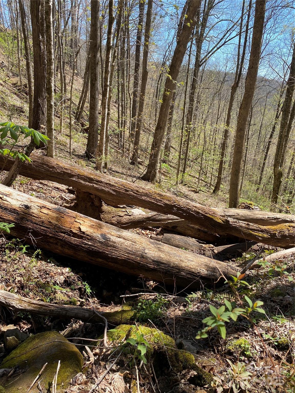 99999 Chestnut Forest Road Fairview NC 28730