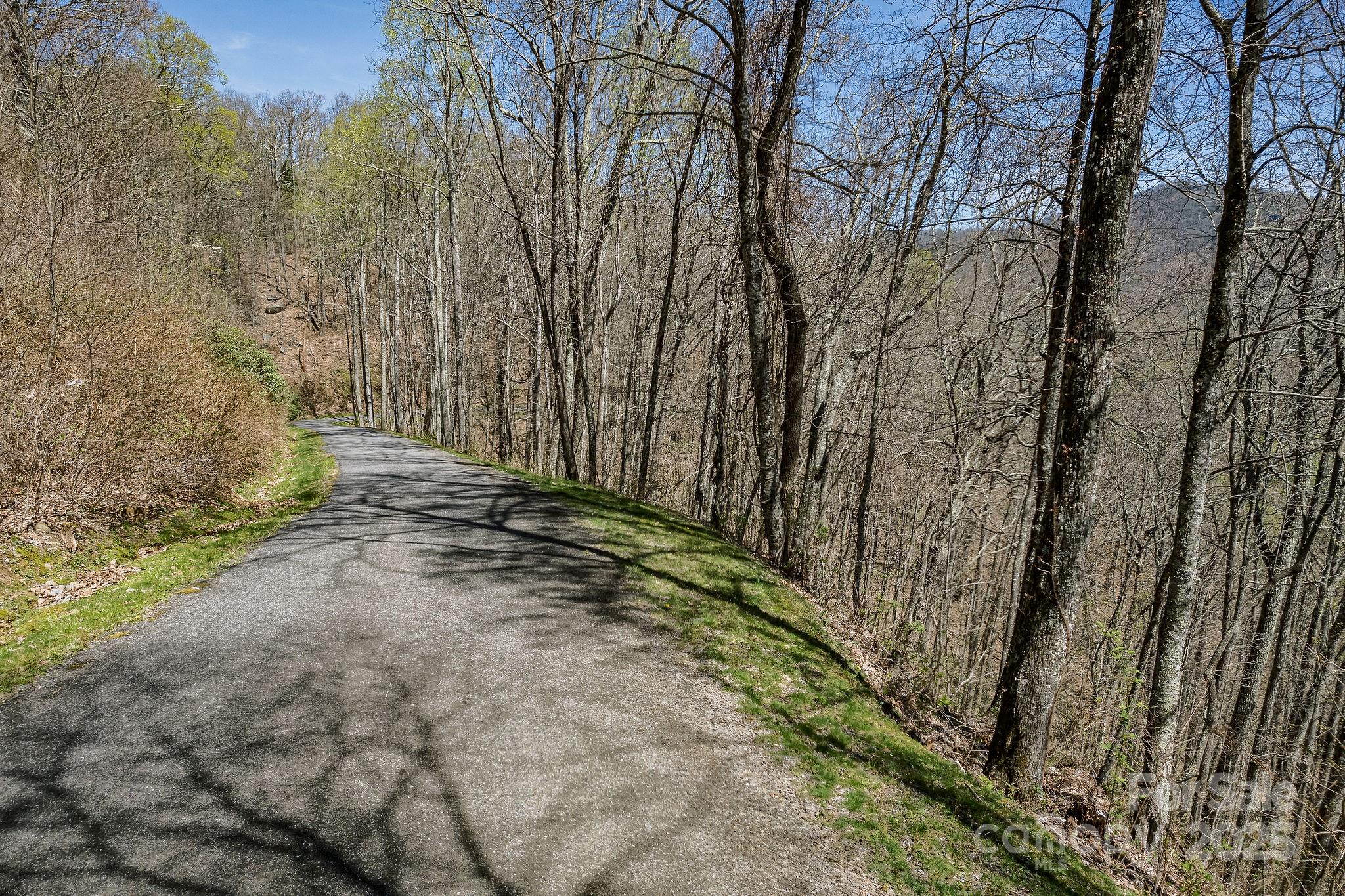 99999 Chestnut Forest Road Fairview NC 28730