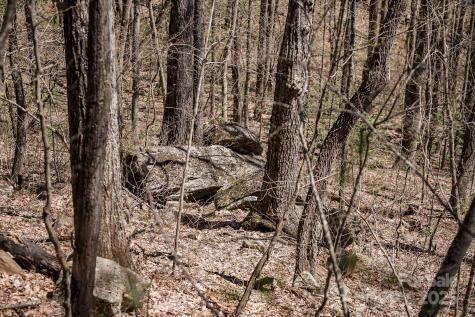 99999 Chestnut Forest Road Fairview NC 28730
