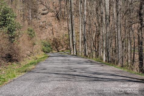 99999 Chestnut Forest Road Fairview NC 28730