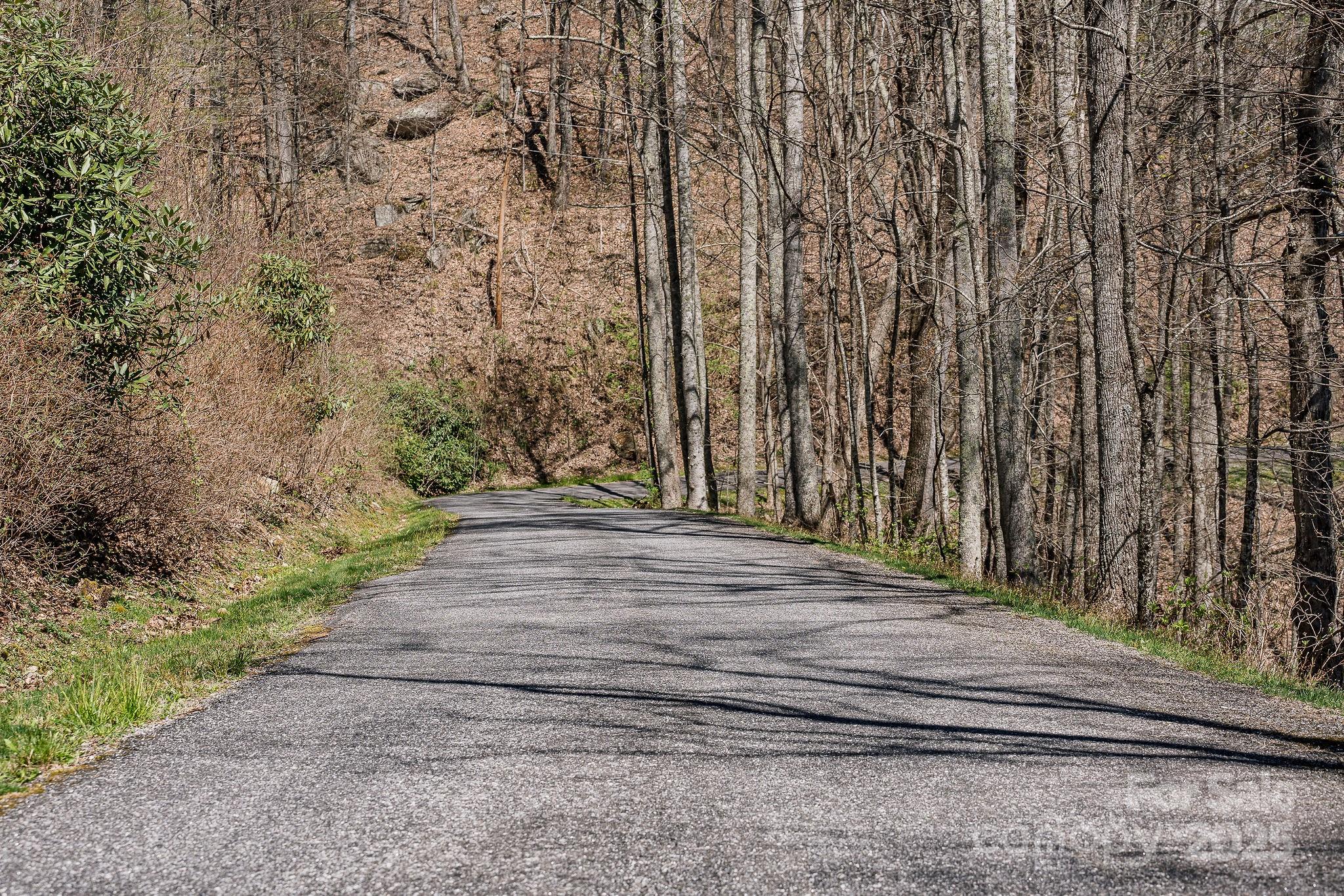 99999 Chestnut Forest Road Fairview NC 28730