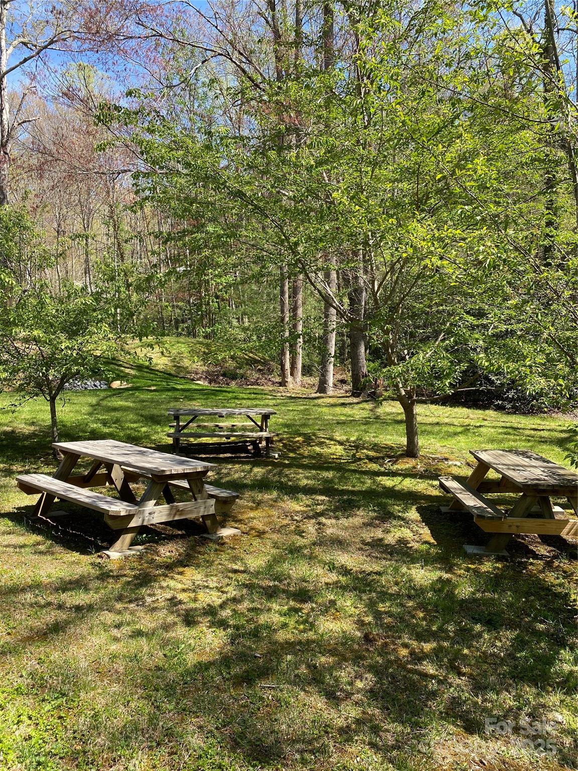 99999 Chestnut Forest Road Fairview NC 28730