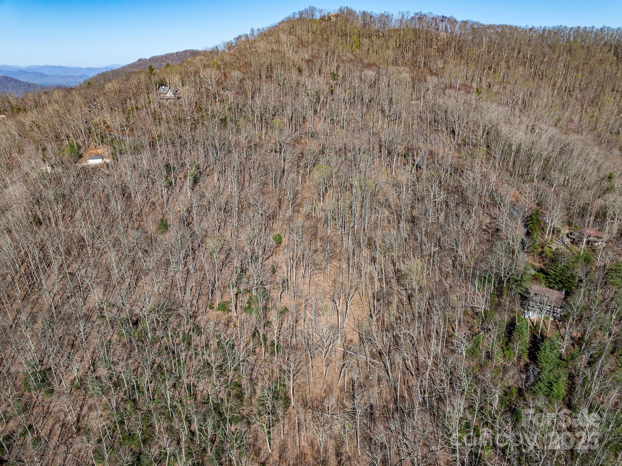 99999 Chestnut Forest Road Fairview NC 28730