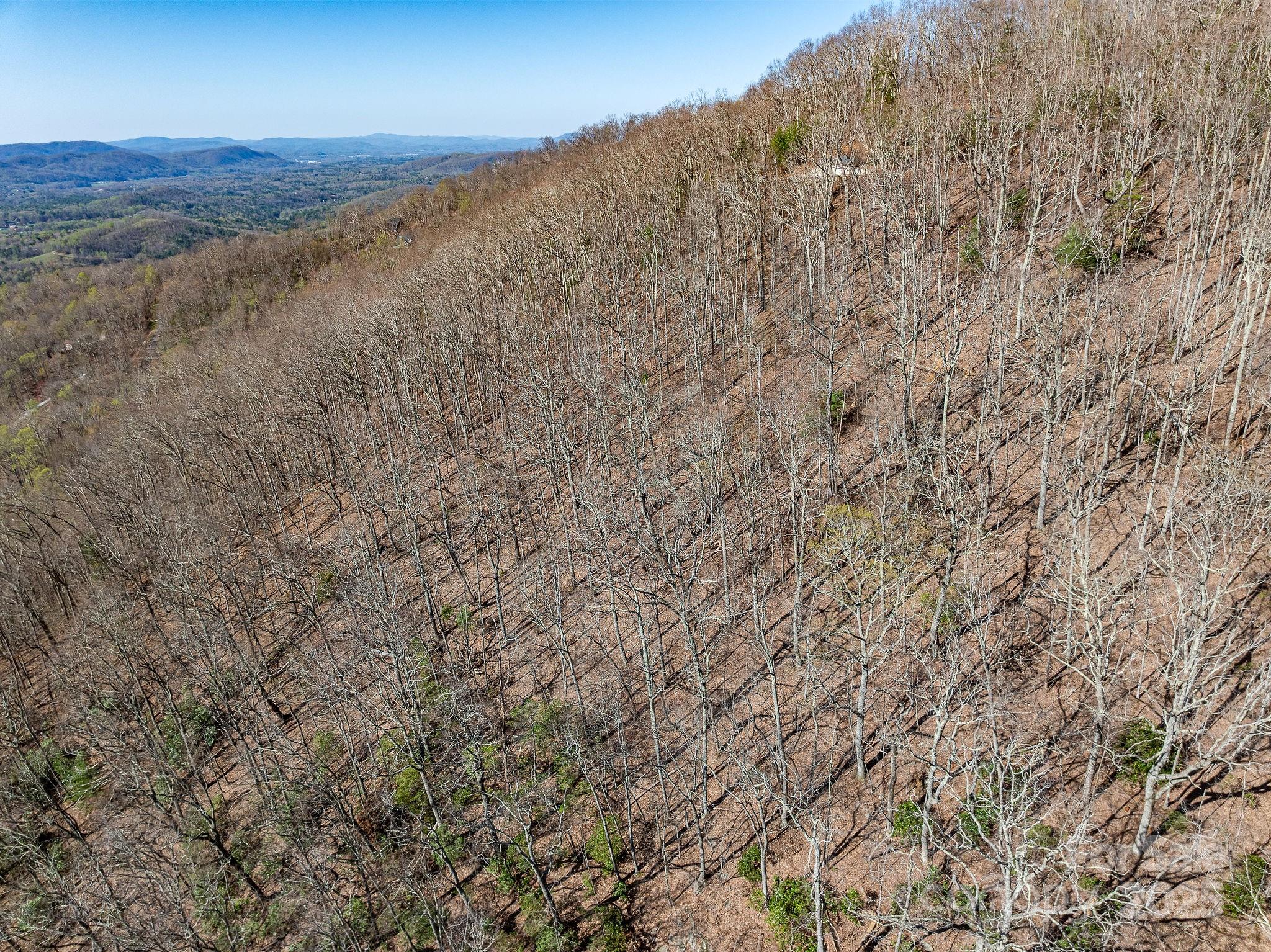 99999 Chestnut Forest Road Fairview NC 28730