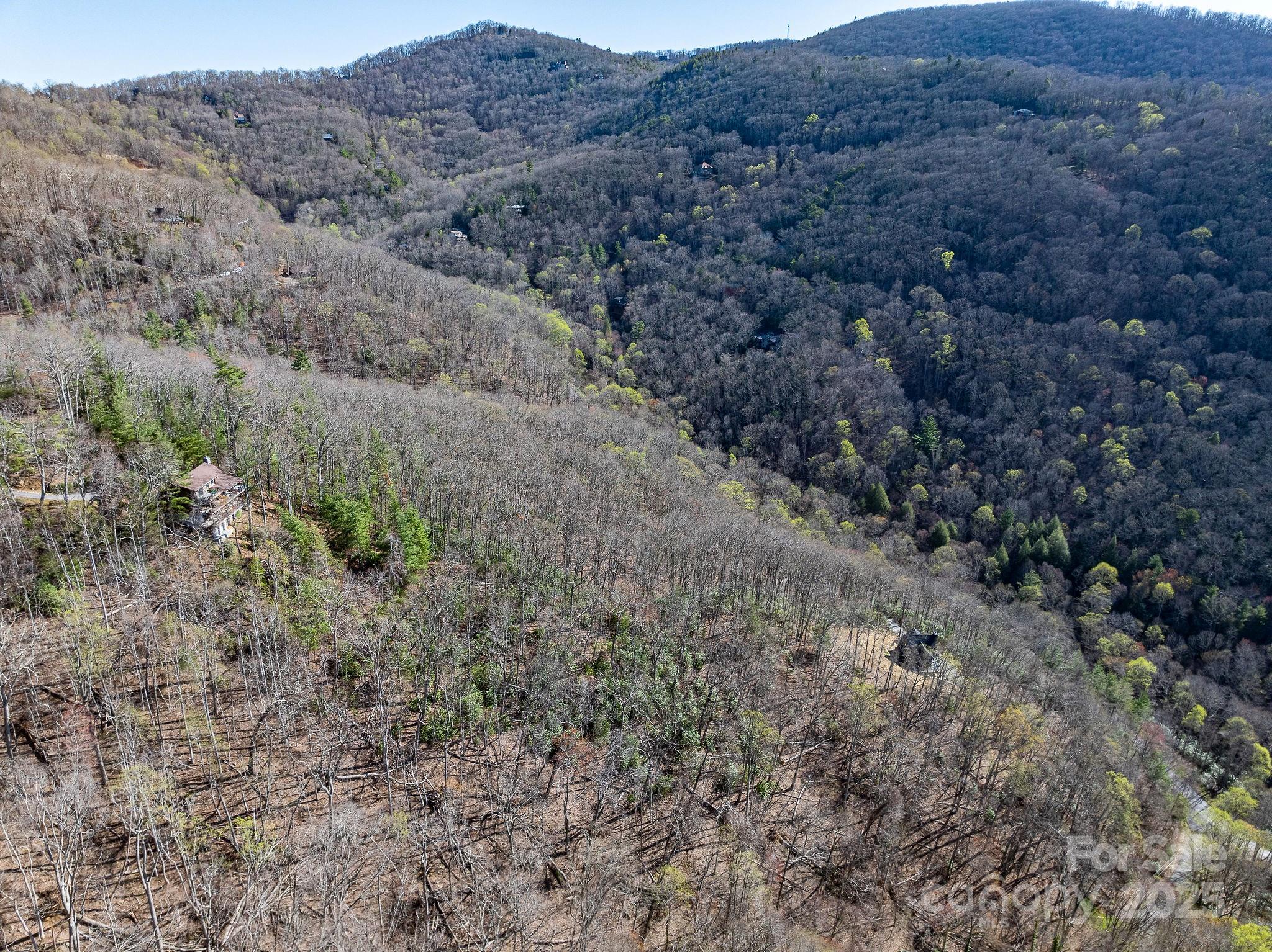 99999 Chestnut Forest Road Fairview NC 28730