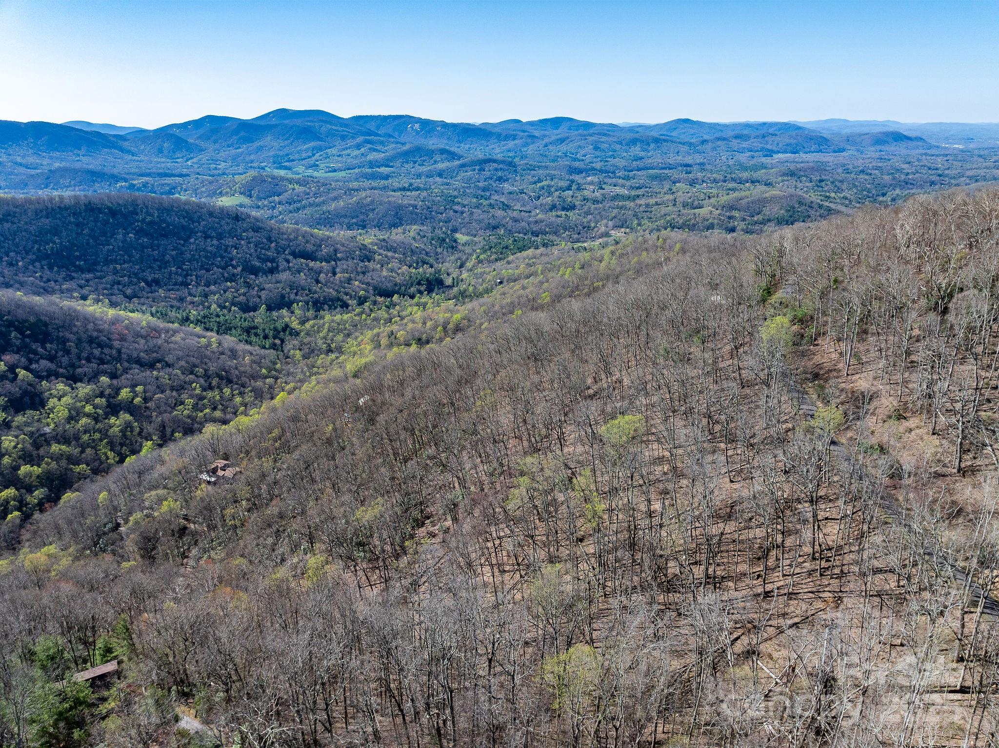 99999 Chestnut Forest Road Fairview NC 28730