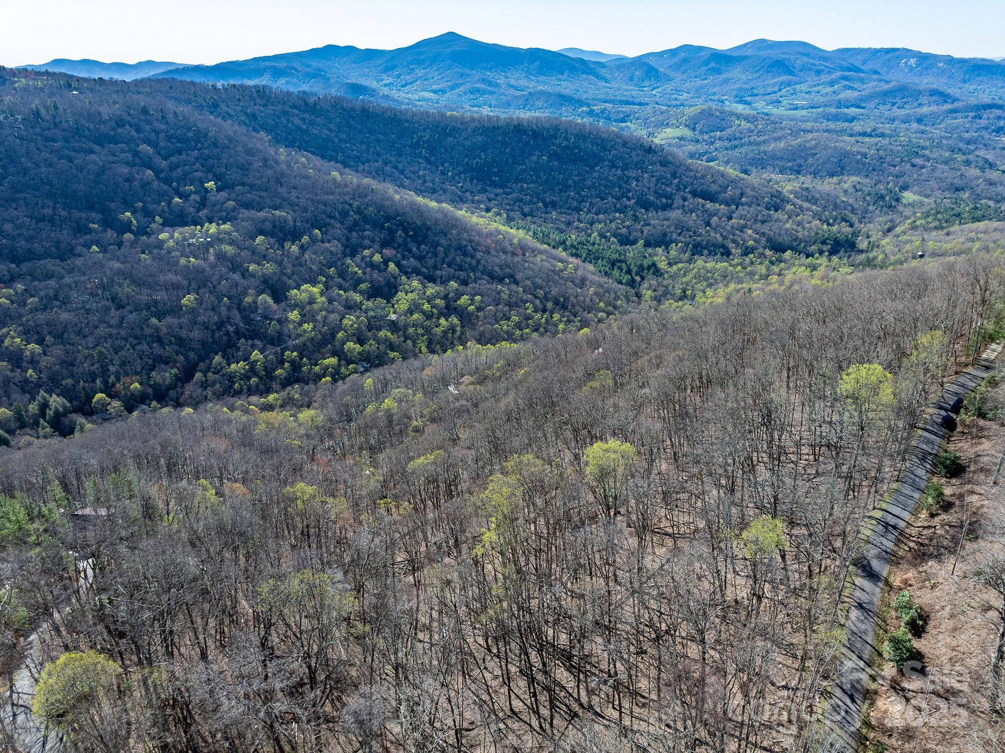 99999 Chestnut Forest Road Fairview NC 28730